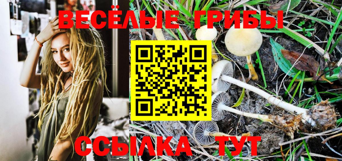 Псилоцибиновые грибы MAGIC MUSHROOMS  Галлюциногенные грибы GOLDEN TEACHER  Усолье-Сибирское  Вход с VPN 